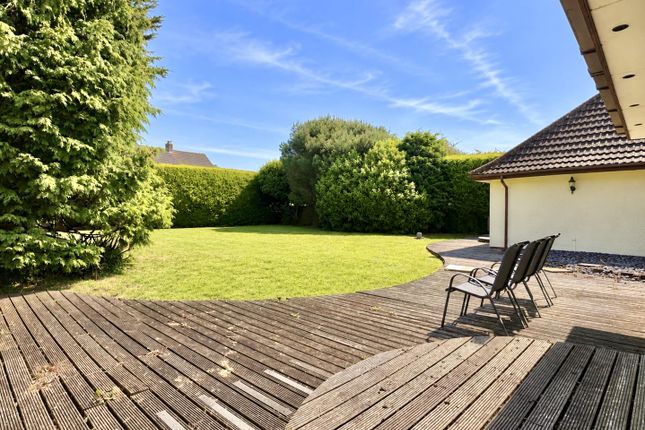 19A, Audley Road, Chelmsford photo 5
