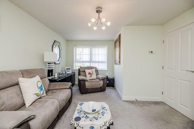 18, Bluebell Drive, Morpeth photo 4