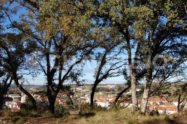 Land for sale in Porto Da Lage, Madalena E Beselga, Tomar