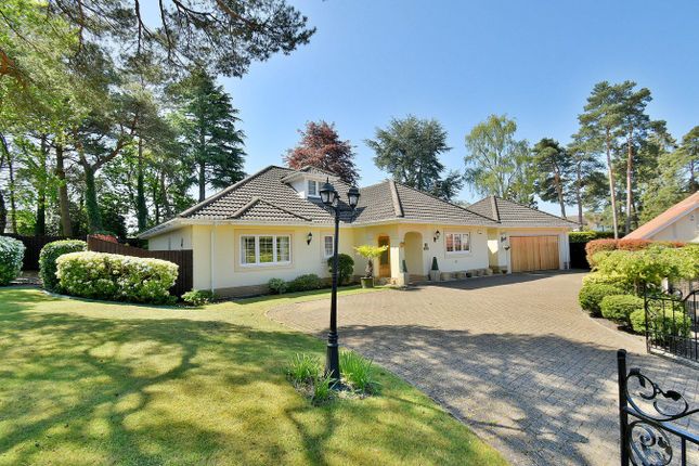 146, Golf Links Road, Ferndown photo 4