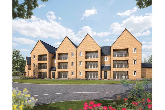 2 bed flat for sale in "Cassia Place" at Ermine Street, Caxton, Cambridge CB23
