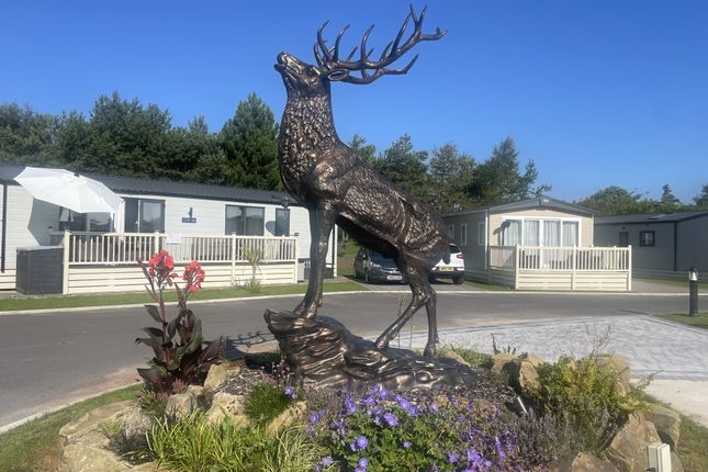 Atlas Image,, Highfield Fisheries & Leisure Lodge Park, Poulton-le-Fylde photo 2