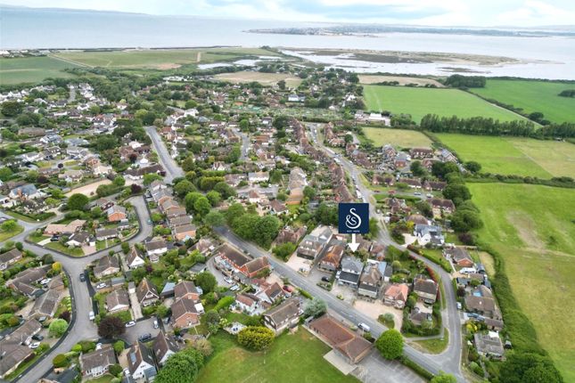 Village Aerial View