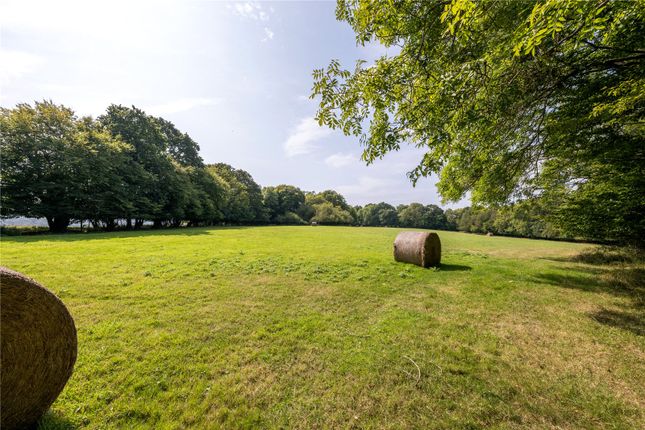 Additional Land