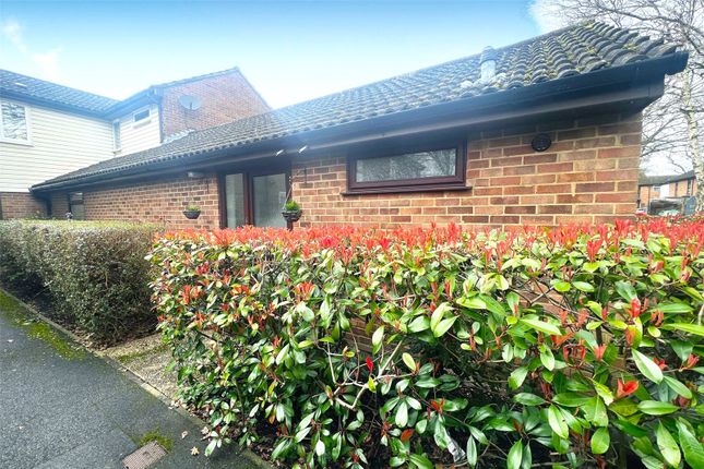Thumbnail Bungalow for sale in Cypress Grove, Ash Vale, Surrey