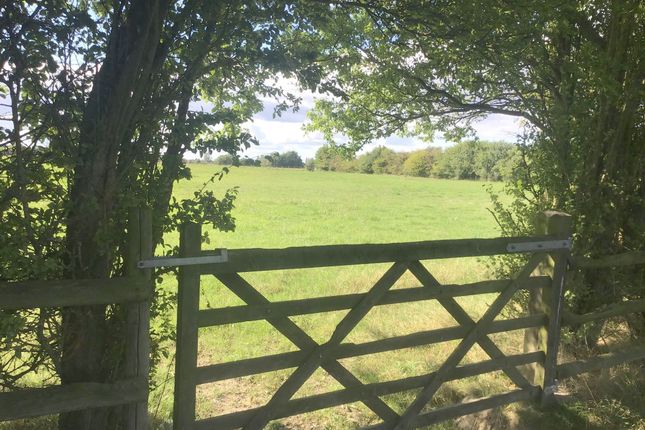 THE PADDOCKS, South Drove, SPALDING photo 4