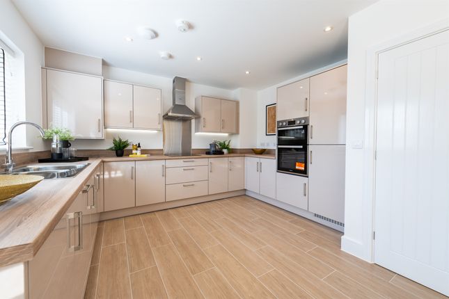 Plot 31, The Beech, The Pastures, Grays photo 3