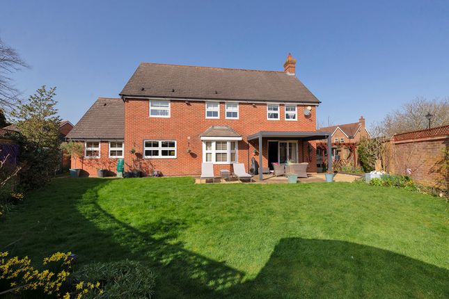 41 The Haydens, Tonbridge photo 2