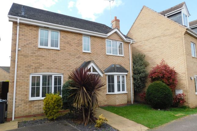 Thumbnail Detached house to rent in Vokes Street, Peterborough