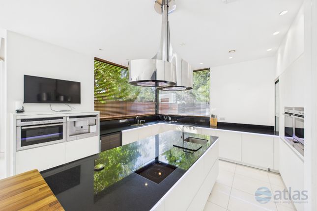 Kitchen / Dining / Living Area