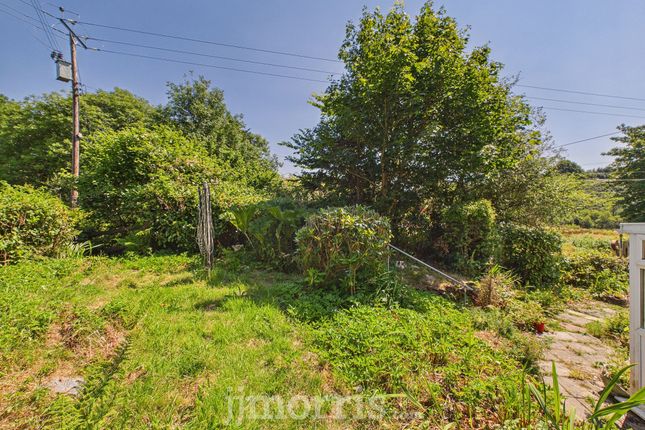 Tynewydd, Llanfyrnach photo 2