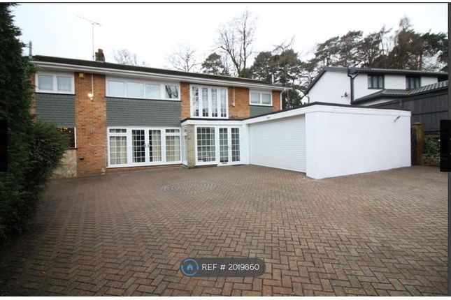 Thumbnail Detached house to rent in Calvin Close, Camberley