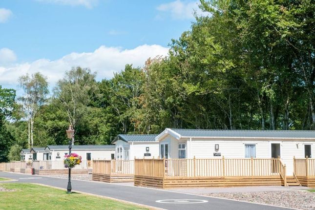 Mobile/park home for sale in Mallsknowe, English Street, Longtown, Carlisle