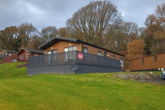 Thumbnail Lodge for sale in Trossachs Holiday Park, Beechwood Lodge, Gartmore, Aberfoyle FK83Sa