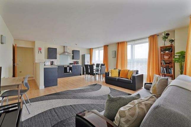 Open Plan Living / Dining / Kitchen