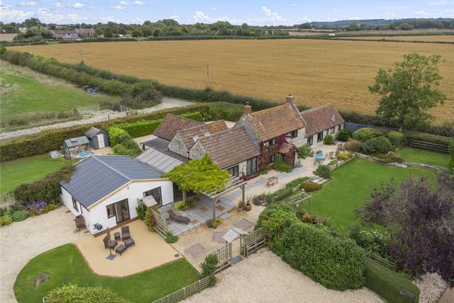 House Aerial