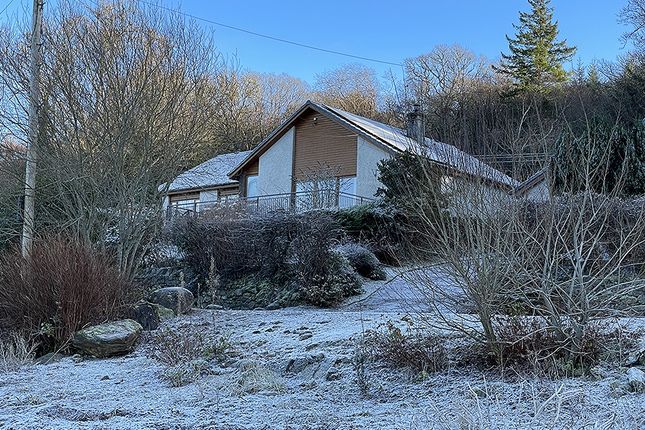Thumbnail Bungalow for sale in Old Shore Road, St Catherines, Argyll And Bute
