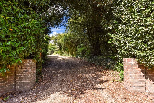 Driveway Entrance