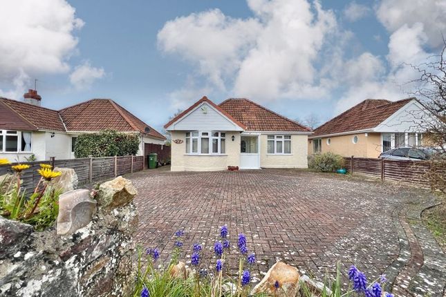 Detached bungalow for sale in Upper Holway Road, Taunton