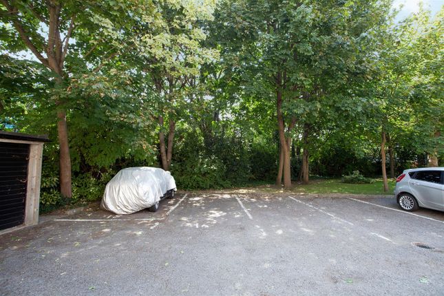 Grangewood, 48 Upper Richmond Road, London photo 2