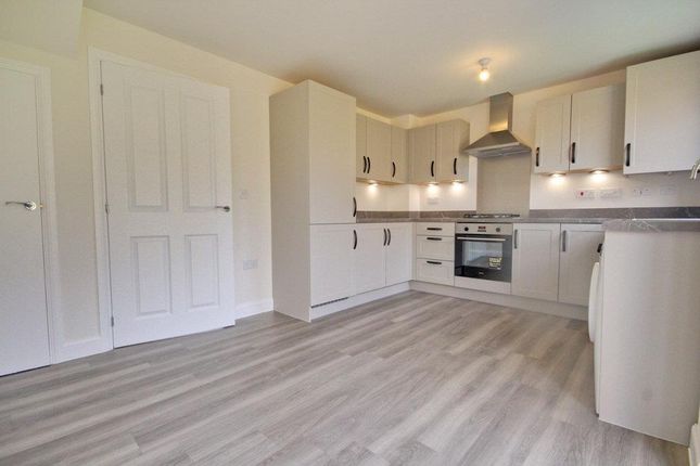 11, Hazelnut Drive, Beverley photo 4