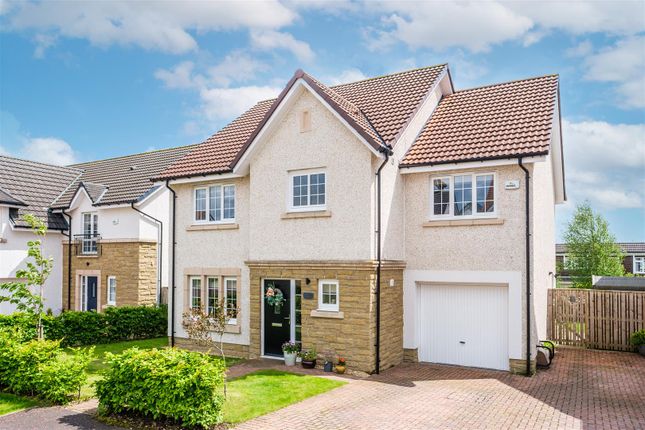 Thumbnail Detached house for sale in Napier Crescent, Strathaven