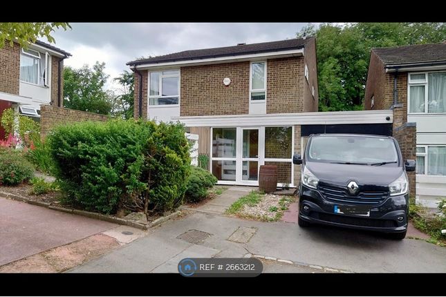 Woodhatch Spinney, Coulsdon photo 4