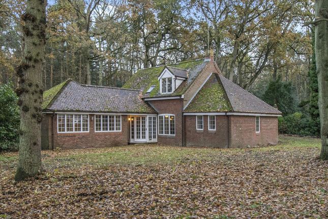 Thumbnail Bungalow for sale in Skeyton Road, North Walsham