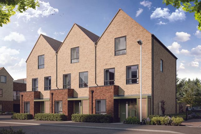 Netherhall Gardens, Cambridge