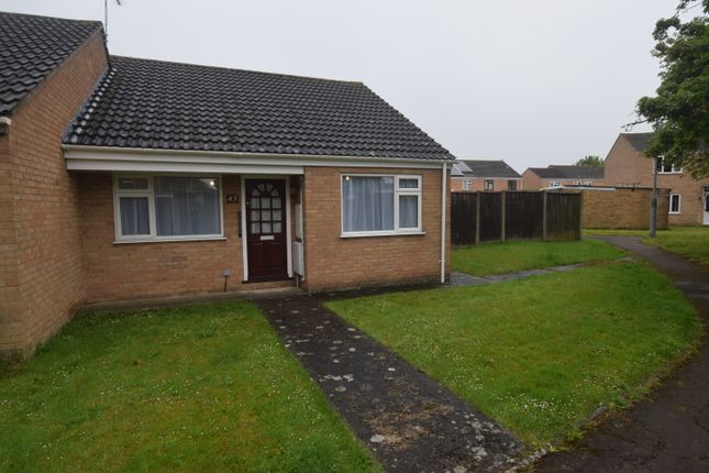 Detached bungalow to rent in Rosevean Close, Bridgwater