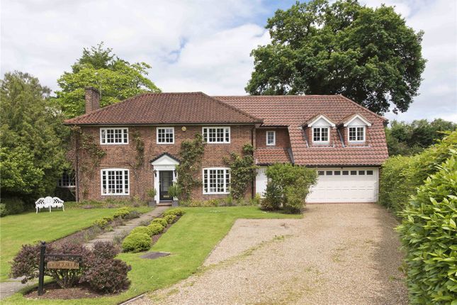 Thumbnail Detached house to rent in Claremont End, Esher, Surrey
