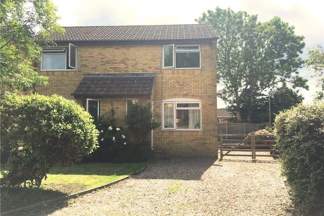Thumbnail Semi-detached house to rent in St James, Beaminster, Dorset