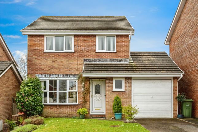 Thumbnail Detached house for sale in Squirrel Walk, Swansea, West Glamorgan
