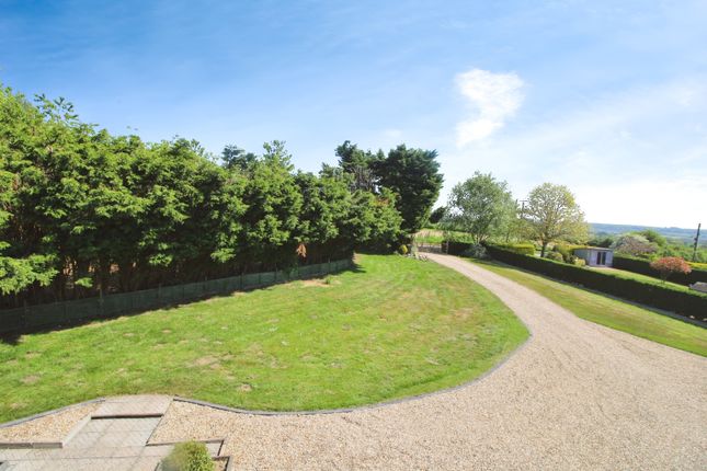 Front Garden.Jpg