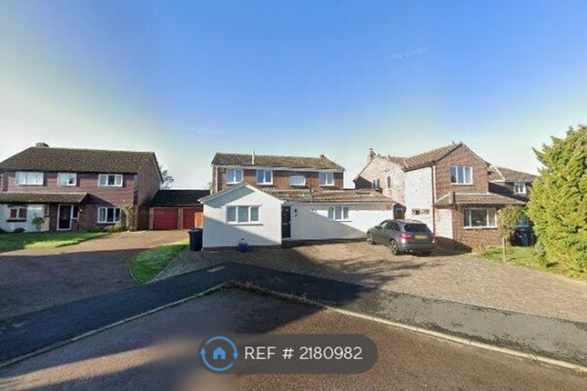 Thumbnail Detached house to rent in Limes Road, Hardwick, Cambridge