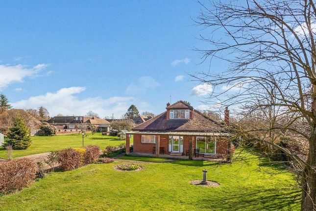 Thumbnail Detached bungalow for sale in Sole Street, Cobham, Gravesend