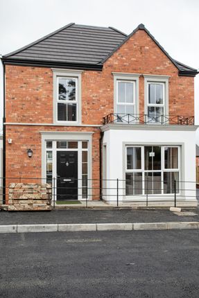Thumbnail Detached house to rent in Lesley Chase, Greenisland, Belfast