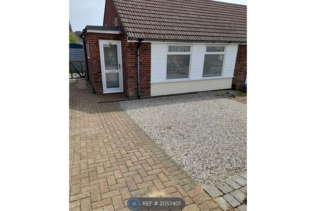 Thumbnail Bungalow to rent in Dales Road, Ipswich