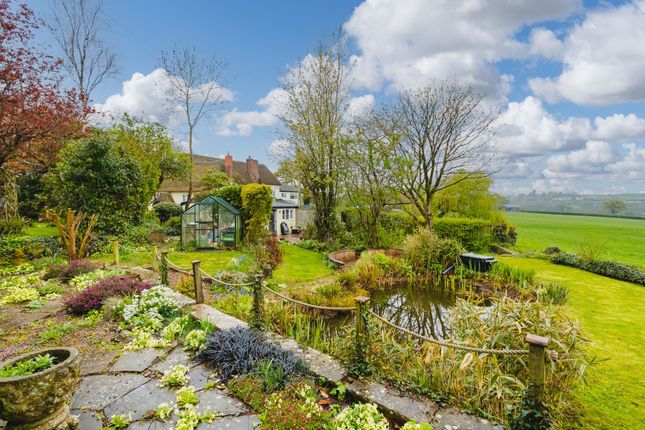 Oldborough Cottage, Crediton photo 4