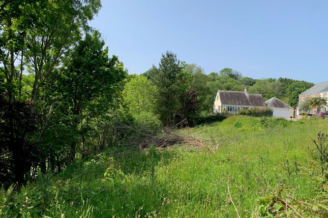 View Over Site