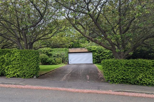 Ravelston Heights, Ravelston, Edinburgh, EH4 3LX, Edinburgh photo 4