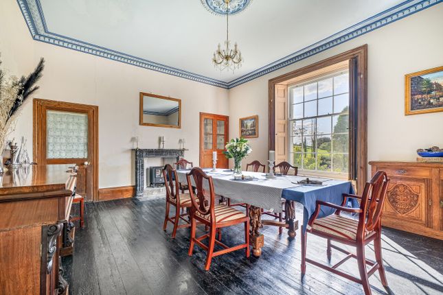 1358931-17-68d168...