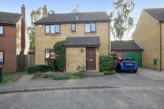 Link-detached house for sale in Widgeon Place, Kelvedon, Colchester
