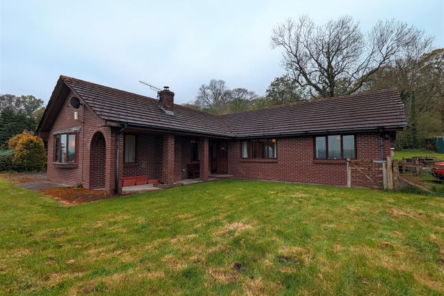 Thumbnail Detached bungalow to rent in Longtown, Hereford