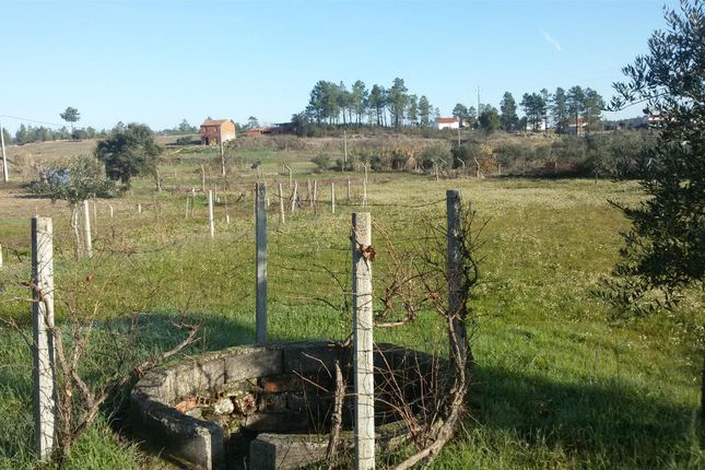 Thumbnail Land for sale in Sarzedas, Castelo Branco (City), Castelo Branco, Central Portugal