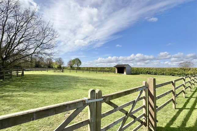 Courtyard Barn, Pristow Green Lane, Tibenham photo 2