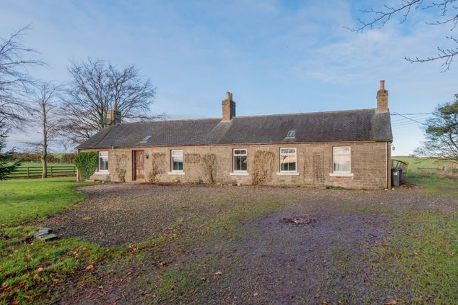 Thumbnail Cottage for sale in Newton Of Carmylie, Arbroath, Angus