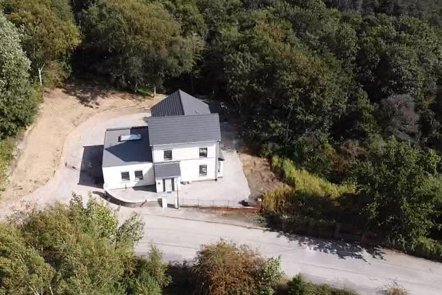 Outside - Birdseye View