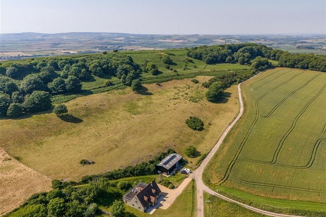 Aerial Front (Original)