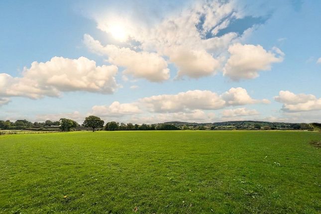 Cullompton, Devon photo 5